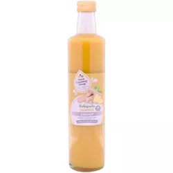 Bio sirup zázvor 500 ml